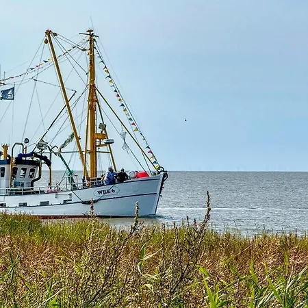 Deichläufer Lilli Marleen 7-01 *