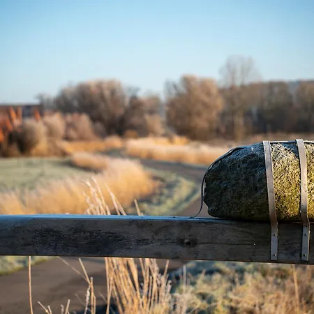 Deichläufer Lilli Marleen 7-01 Apartment