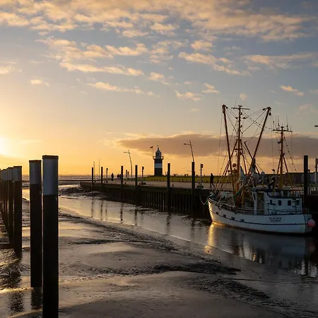 Deichläufer Lilli Marleen 7-01 * Wremen