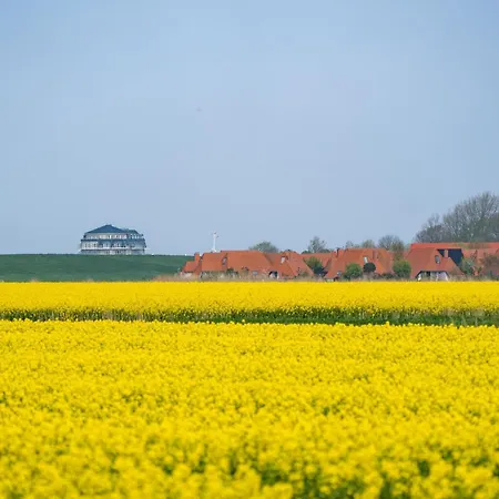 Deichläufer Lilli Marleen 7-01 * Wremen